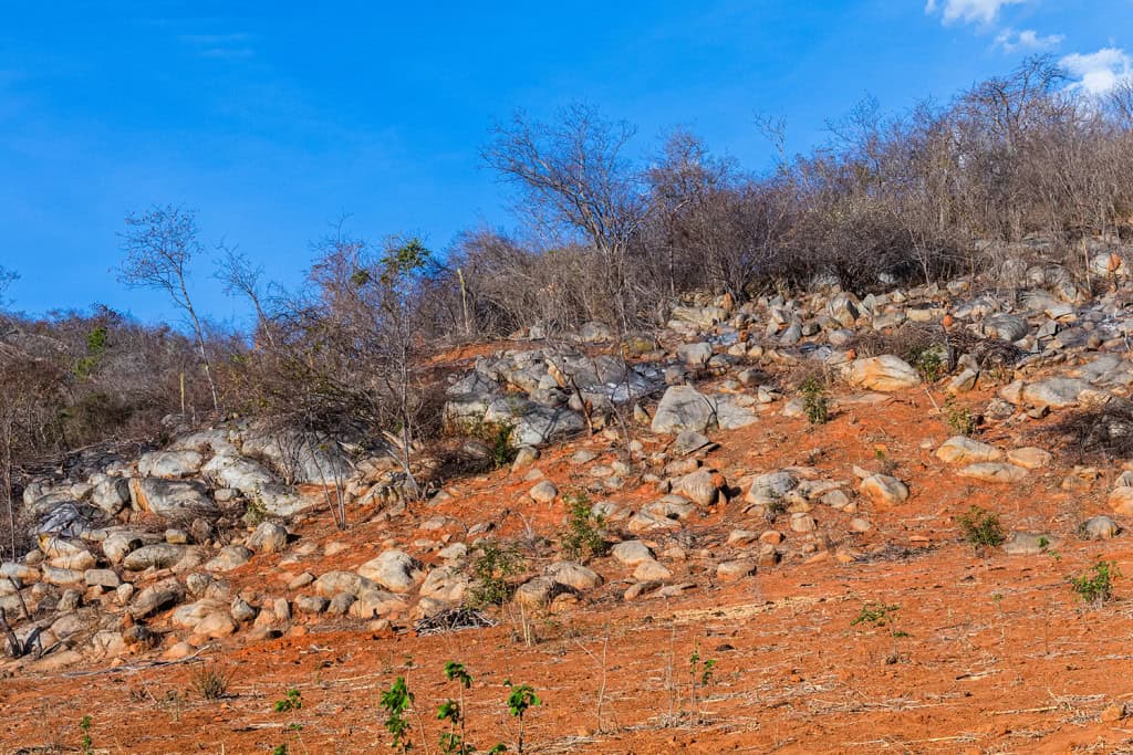 Deserto avança no Nordeste brasileiro, diz estudo