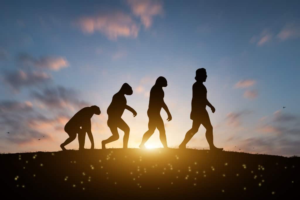 Em dez mil anos, a seleção natural segue balizando os humanos; entenda